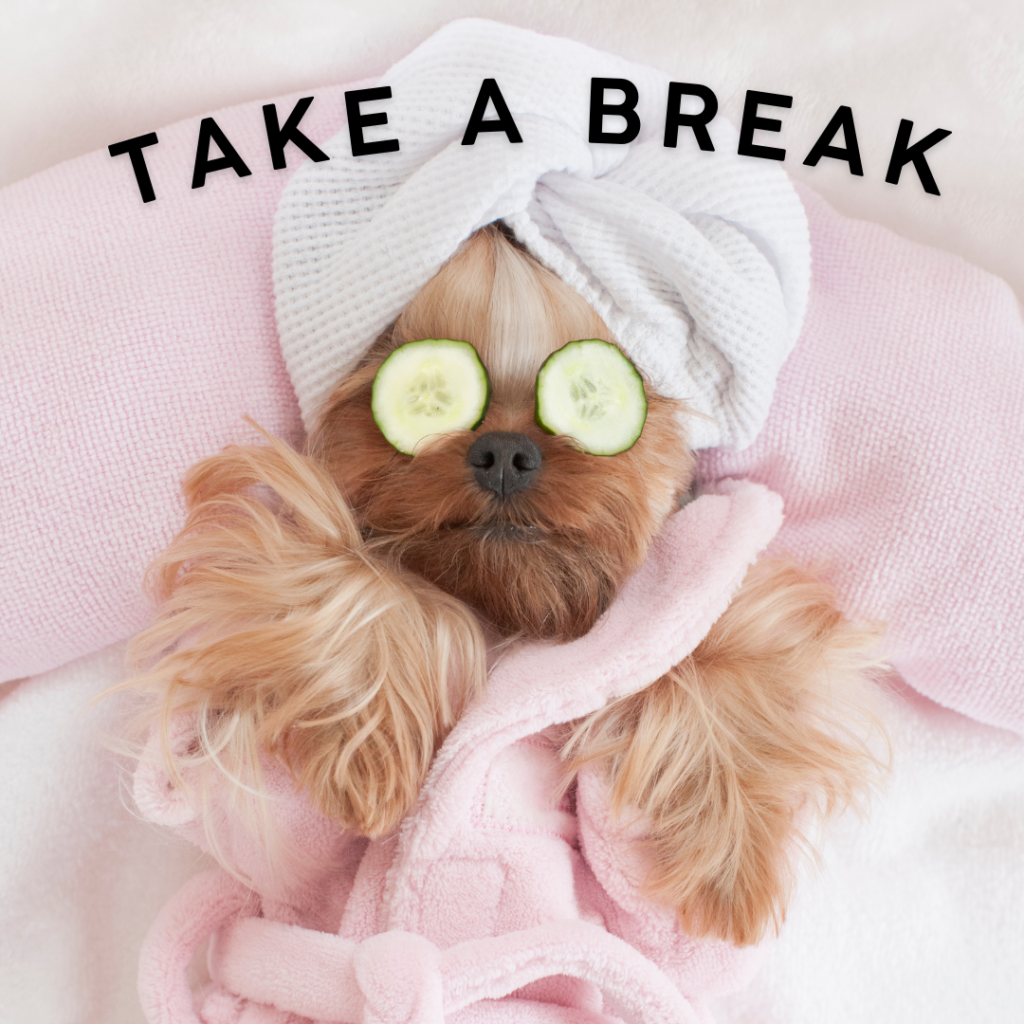 picture of dog in a robe with cucumbers on his eyes for ezbz